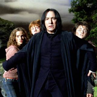 Severus Snape and Lily Potter wallpaper