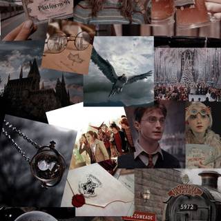 Harry Potter and heroines wallpaper