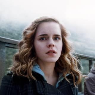 Harry Potter and heroines wallpaper