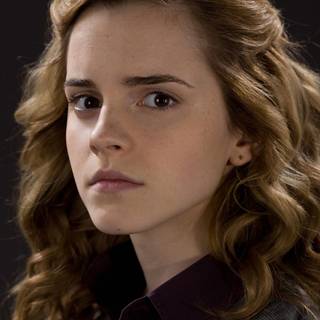 Harry Potter and heroines wallpaper