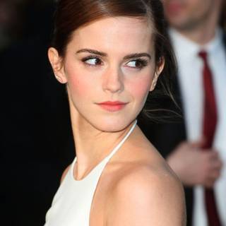 Harry Potter and heroines wallpaper