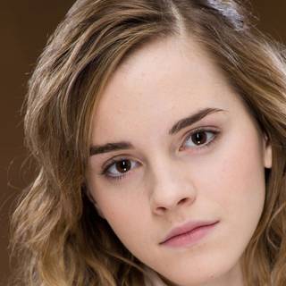 Harry Potter and heroines wallpaper