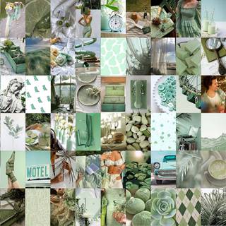 Sage green aesthetic collage wallpaper