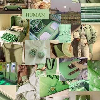 Sage green aesthetic collage wallpaper