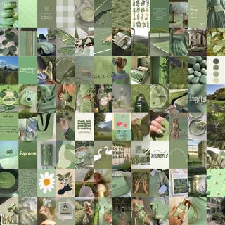 Sage green aesthetic collage wallpaper