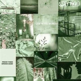 Sage green aesthetic collage wallpaper