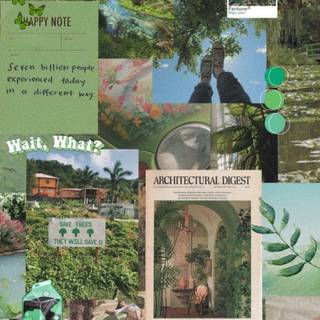 Sage green aesthetic collage wallpaper