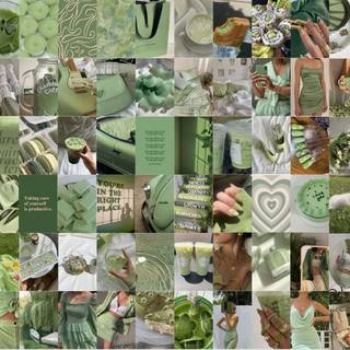 Sage green aesthetic collage wallpaper