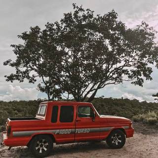 Ford F1000 wallpaper
