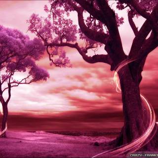 Romantic scene wallpaper