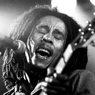 Reggae music wallpaper