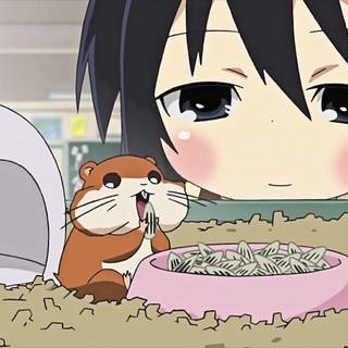 Mitsudomoe wallpaper