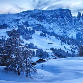 4k blue winter wallpaper