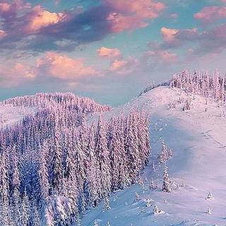 Winter aeshetic iPhone wallpaper