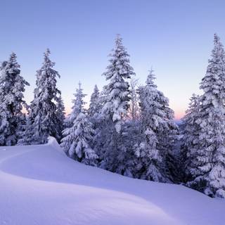 4k blue winter wallpaper