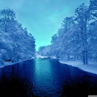 4k blue winter wallpaper