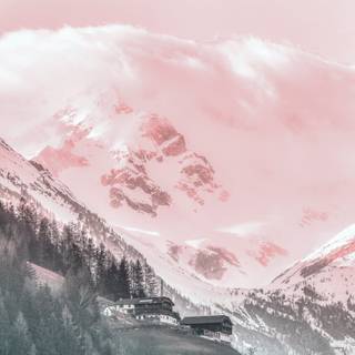 Phone winter painting wallpaper