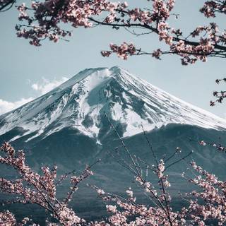 4k phone Japan wallpaper