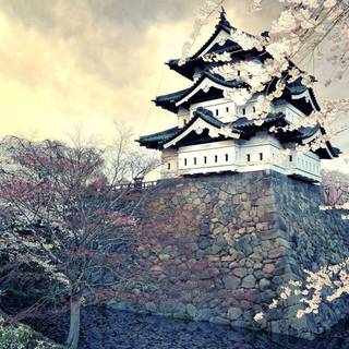 1920x1080 Japan winter wallpaper