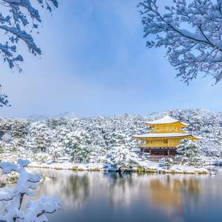 Winter Japan 4k wallpaper