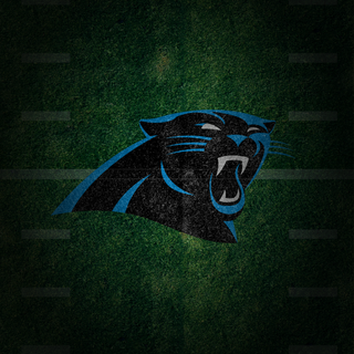 Carolina Panthers 2024 wallpaper