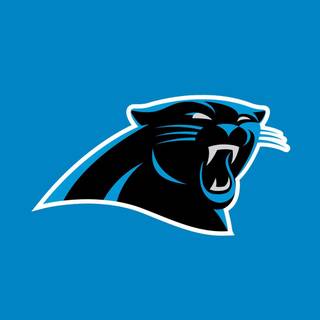 Carolina Panthers 2024 wallpaper