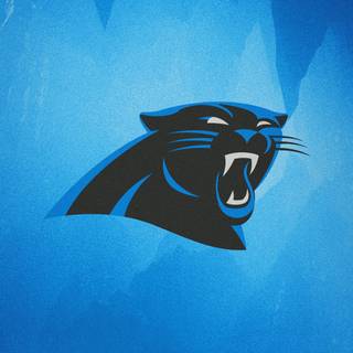 Carolina Panthers 2024 wallpaper
