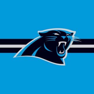 Carolina Panthers 2024 wallpaper