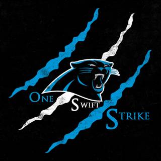 Carolina Panthers 2024 wallpaper