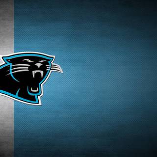 Carolina Panthers 2024 wallpaper