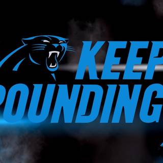 Carolina Panthers 2024 wallpaper