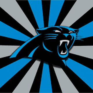 Carolina Panthers 2024 wallpaper