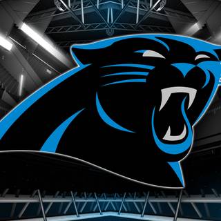 Carolina Panthers 2024 wallpaper