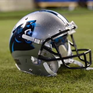 Carolina Panthers 2024 wallpaper