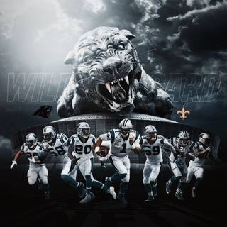 Carolina Panthers 2024 wallpaper