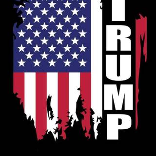 2024 Trump flag wallpaper