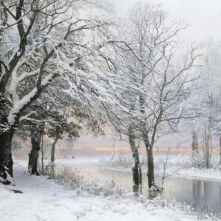 Winter 1400x1400 wallpaper