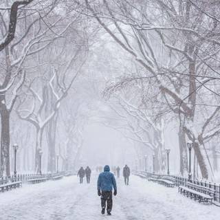 Winter 1400x1400 wallpaper