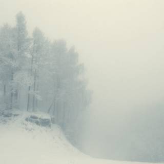 Winter morning mist wallpaper