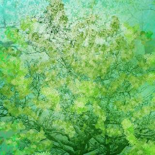 Spring green desktop wallpaper