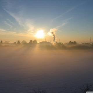 Winter morning mist wallpaper