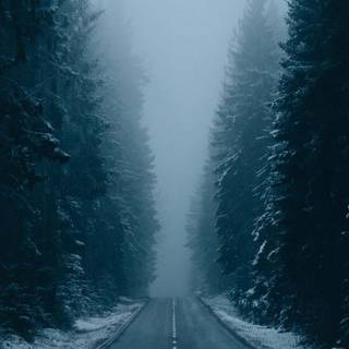 Winter morning mist wallpaper