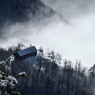 Winter morning mist wallpaper