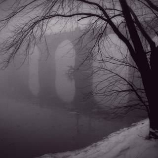 Winter morning mist wallpaper