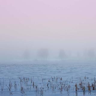 Winter morning mist wallpaper