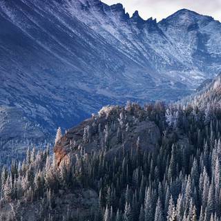 Winter woods desktop wallpaper