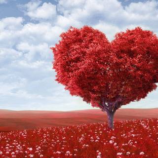 Preppy Valentine laptop wallpaper