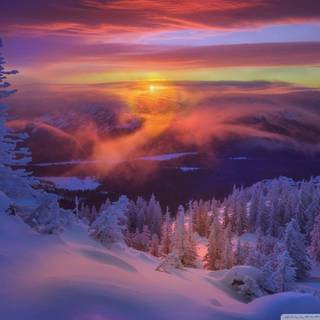 Winter woods desktop wallpaper