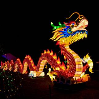Chinese dragon Android wallpaper