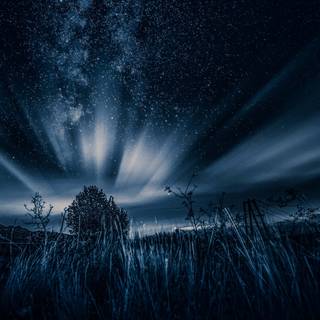 Dark nature desktop wallpaper